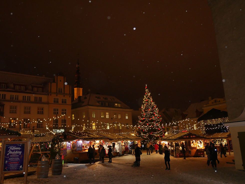 Tallinn Winter Wonderland